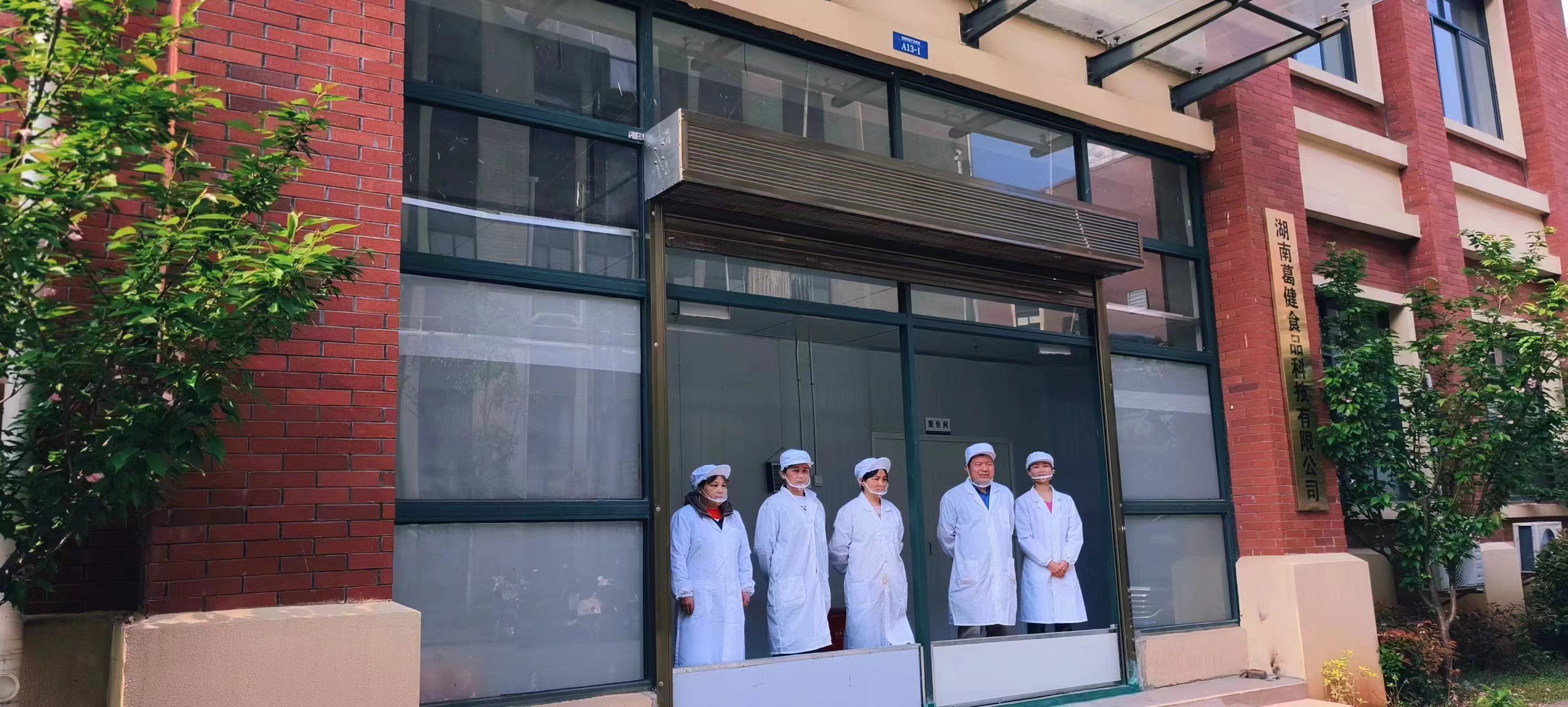 生產(chǎn)葛根,葛根基地,葛根條廠家,葛根項目