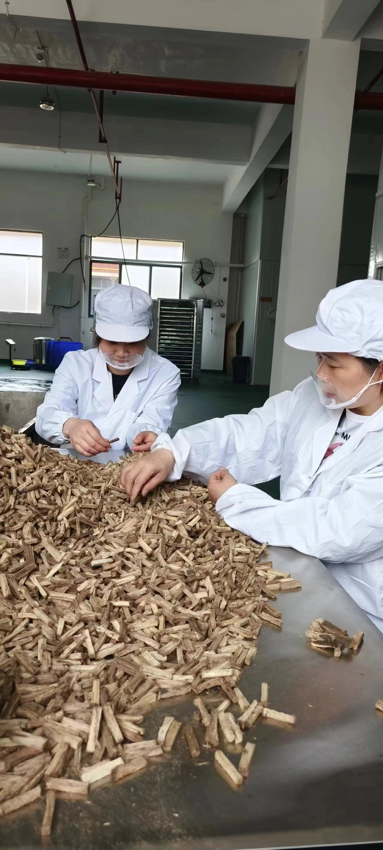 生產(chǎn)葛根,葛根基地,葛根條廠家,葛根項(xiàng)目,葛根咀嚼