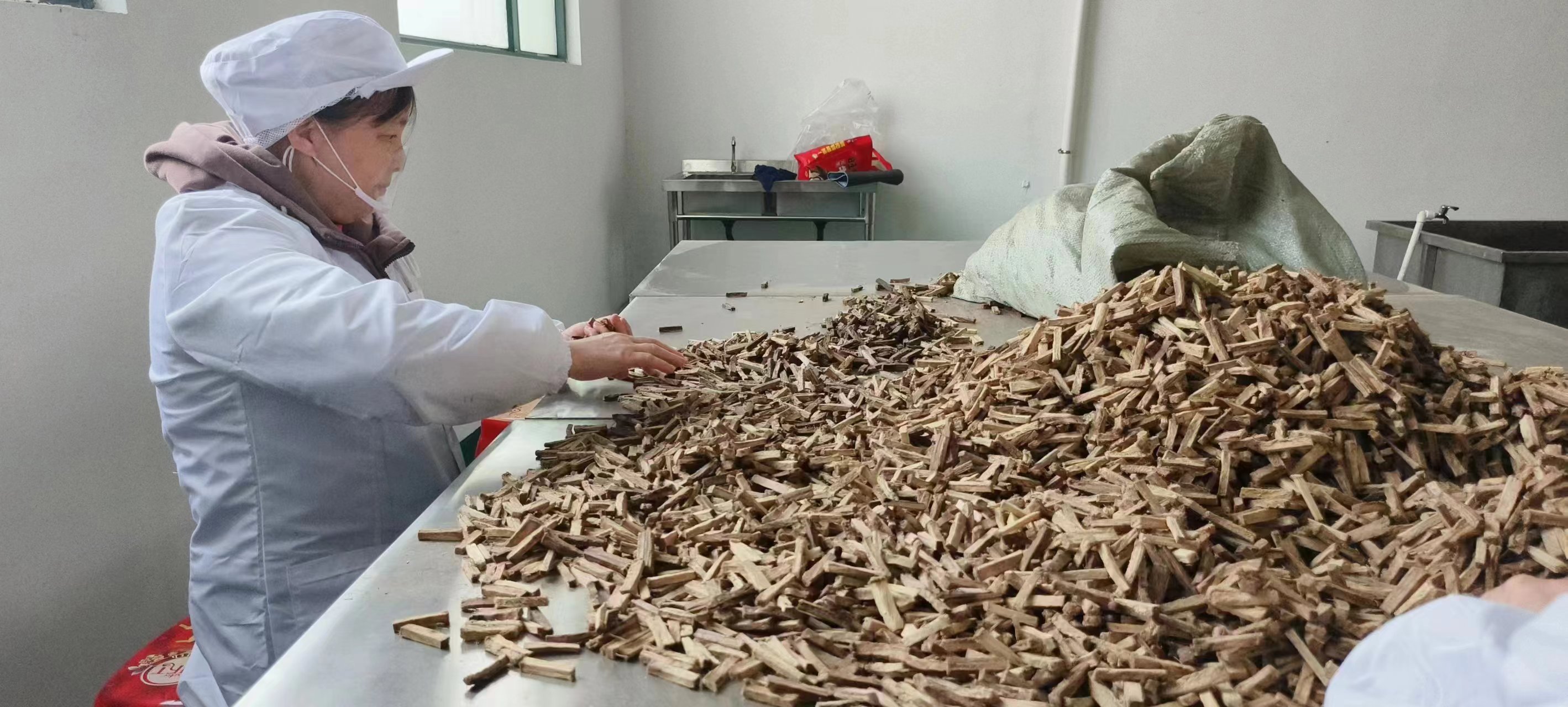 葛根基地,葛根條廠家,葛根項(xiàng)目,葛根咀嚼,口嚼葛根