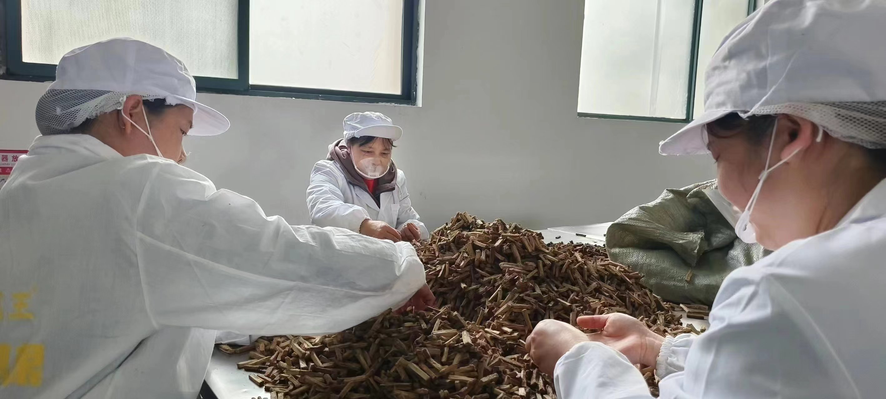 葛根公司,生產(chǎn)葛根,葛根基地,葛根條廠家,葛根項(xiàng)目