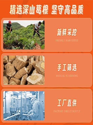 葛根加盟,戒檳榔項目,葛根品牌,葛根公司