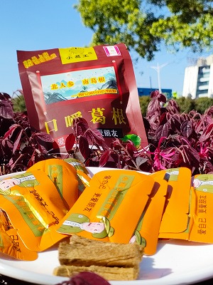 葛根加盟,葛根品牌,葛根公司,葛根項(xiàng)目